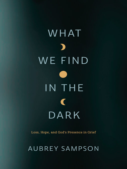 Title details for What We Find in the Dark by Aubrey Sampson - Available